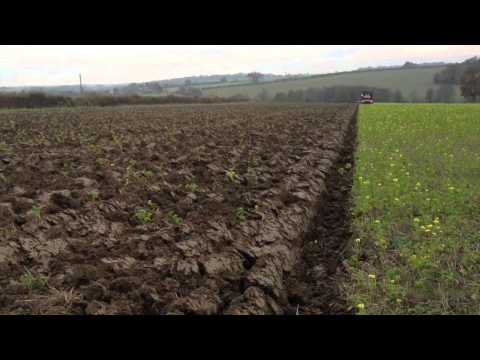 Ploughing in the Green Manure