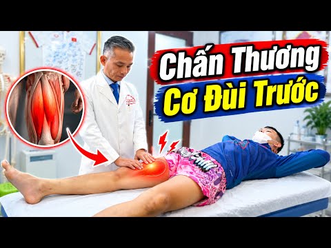 Dập Cơ Đùi Trước: Bớt Đau Chưa Phải Là Đã Lành