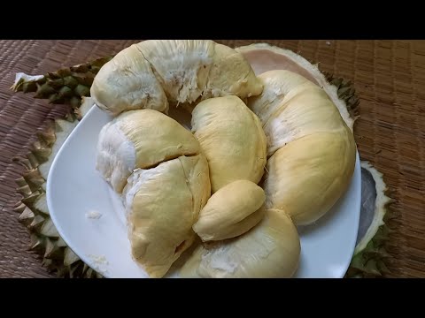 CSP.80 #ทุเรียน #ปอกทุเรียน #ผลไม้ ☘🍀