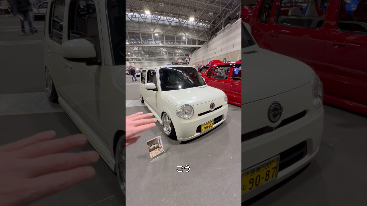 いらんのはとっぱらった！ココア！#fenderist 2026