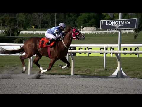 211113 c06 LIRIO ALFREDO