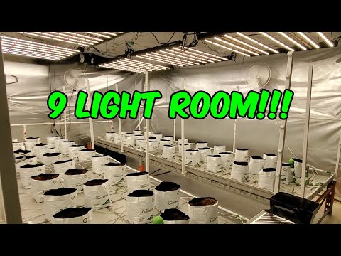 GROW ROOM OVERVIEW!!! Explained. Terpy Highs