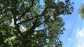 2025 8 13 正榕 國立台灣大學