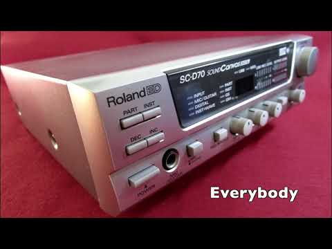 Roland SC-D70 2001 - Gray image 2
