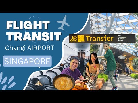 How to Transit at Singapore Changi Airport - Connecting Flight Transfer