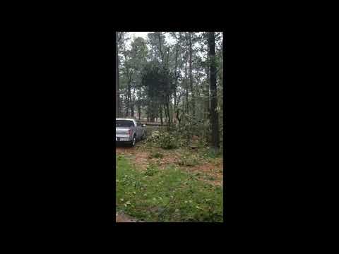 User submitted video