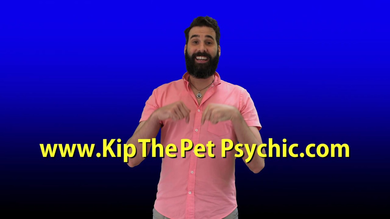 Kip the Pet Psychic commercial