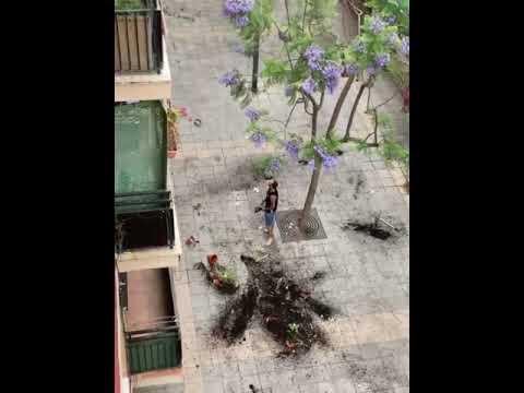 El vídeo viral del Grupo Porta, en Las 500 de Gandia