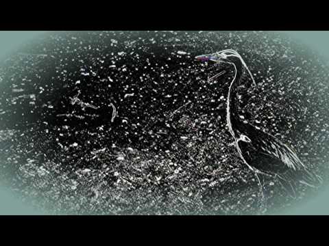 Misty Bywater -  The Heron