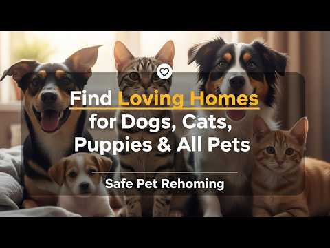 Pets Home: Rehome, Adopt, Sell