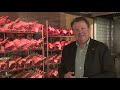 Uitbreiding lonkt voor horeca-slager Nice to Meat