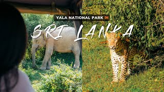 Yala National Park 🇱🇰: Can You REALLY See a Leopard?
