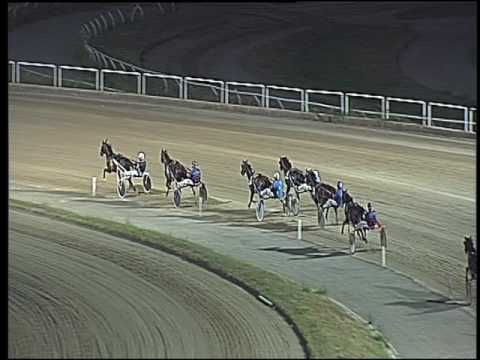 Trotto 23/07/2016 - 2° prova di qualifica