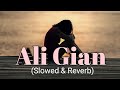 Ali Gian || Farhad Jahangiri || Slowed&Reverb || New song 2023 || New song slowed reverb 2023