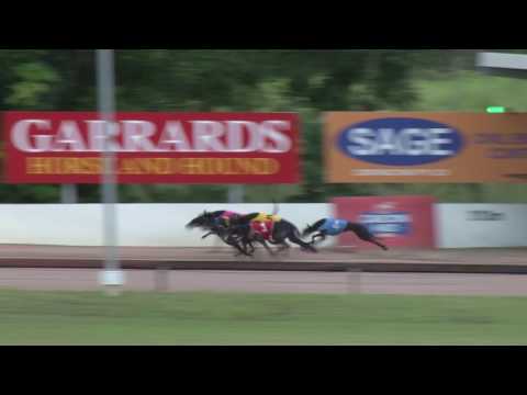 Darwin-19022017-race-1