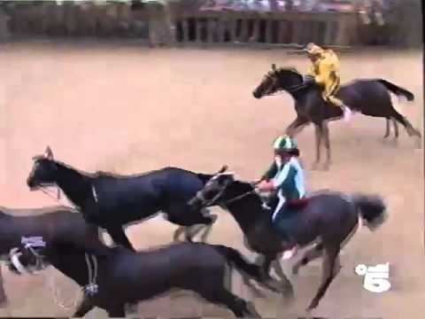 Palio 2 luglio 1994