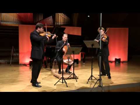 Ernst von Dohnanyi Serenade for Sting Trio Op.10, 4. Tema con variaziono: Andante con moto