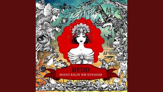 Sevmeden Geçer Zaman (feat. Şebnem Ferah)