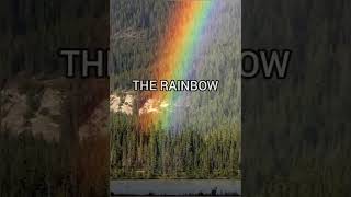 Ween - The Rainbow (Official Music Video)