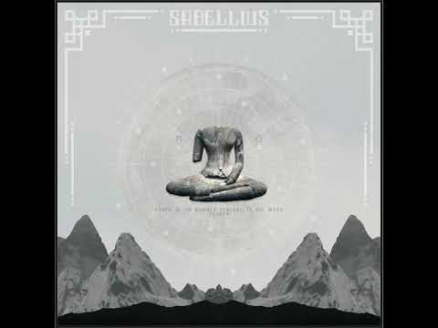 11 Stitch vs Maximus - More