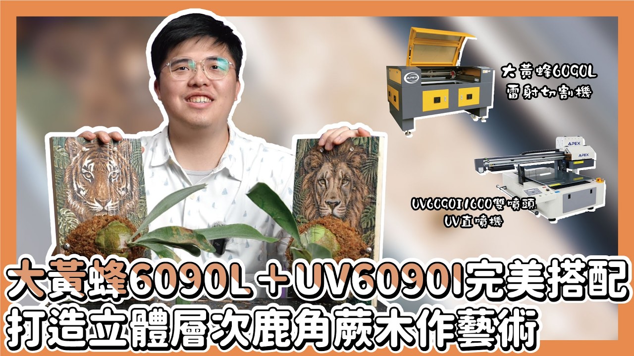 大黃蜂6090L＋UV6090I完美搭配打造立體層次鹿角蕨木作藝術 |奕昇有限公司