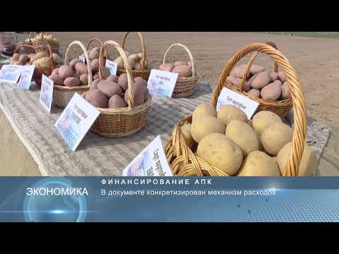 Новости Беларуси 8 января 2020 10:00