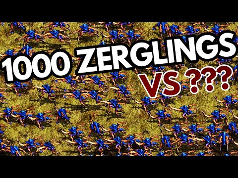 StarCraft Remastered FIGHT CLUB