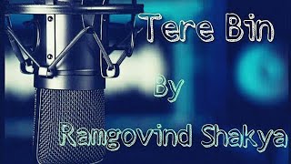 Tere Bin Nahi Lage jiya || Ek Paheli Leela || Uzair jaswal by Ramgovind shakya