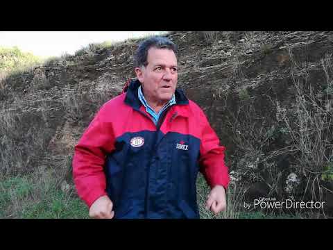 Bienvenidos al Canal