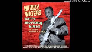Muddy Waters - Still a Fool
