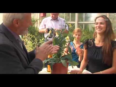 Primaballerina erhält eigene Blume