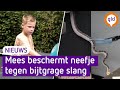 Mees (7) redde zijn neefje van een rattenslang