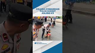 Viral Anjing K9 Gigit Celana Komandan Polisi Sampai Ketarik hingga Ditertawakan Khalayak