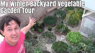 Winter Backyard Raised Bed Vegetable Garden Tour & How I Use My Harvest