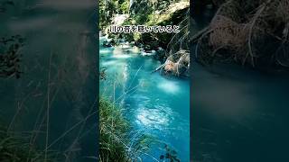 【必見】川の音は「脳のサプリメント」？不眠やストレスを解消する「1/fゆらぎ」の正体 #雑学 #プチ知識 #健康法 #豆知識 #睡眠 #リラックス #1fゆらぎ #自律神経 #脳科学