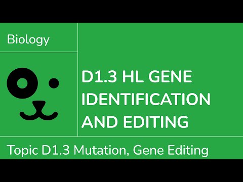 D1.3. HL Genetic Modification [IB Biology HL]