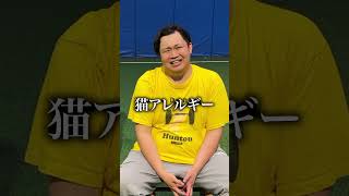 ンダホへの偏見
