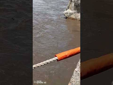 alerta maxima en puerto wilches Santander