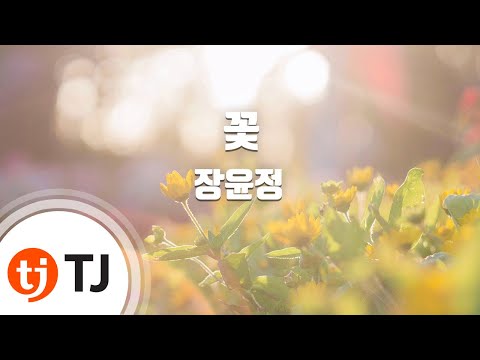 , title : '[TJ노래방] 꽃 - 장윤정 / TJ Karaoke'