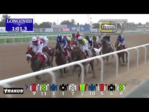 07 03 2015 Meydan Dubai UAE  Race 1 - Arabian Challenge   Group 1, 2000 m