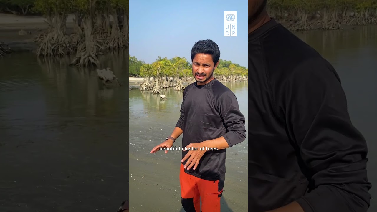 Dead Forest | UNDP Bangladesh
