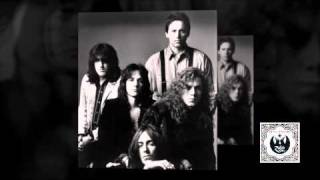 The Black Crowes &amp; Jimmy Page - Shake Your Money Maker