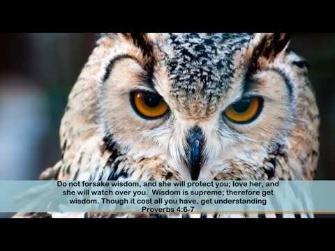 Bible Words Of Wisdom Quotes. QuotesGram Bible Words Of Wisdom Quotes. QuotesGram