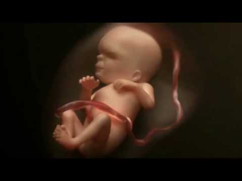 TEARDROP (poem to my unborn child) - Massive Attack reworking
