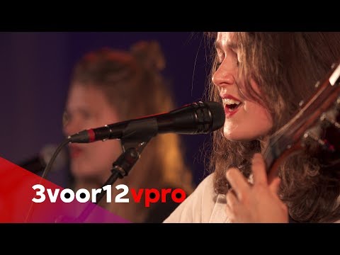 Pitou - Live at Song van het Jaar 2017