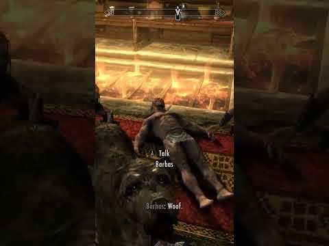 Can't Bring Barbas Anywhere - Skyrim #gameplay #skyrim #elderscrolls #skyrimremastered #shorts