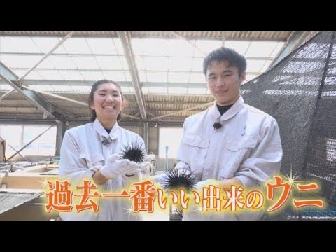 YouTube Video 焼津水産高校で3年前から養殖しているウニでオリジナルメニューを　さつまいものムースとわかめを添えて