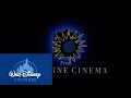 Disney Kicks New Line Cinema Away 1990 Version 1 Closing No Dislikes Allowed