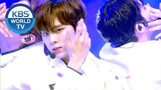 Download lagu UP10TION(업텐션) - Blue Rose [Music Bank / 2019.01.04] mp3