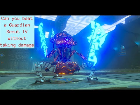 Legend of Zelda Breath of the Wild beat a major test of strength without taking damage